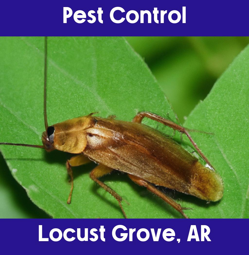 pest control in Locust Grove Arkansas