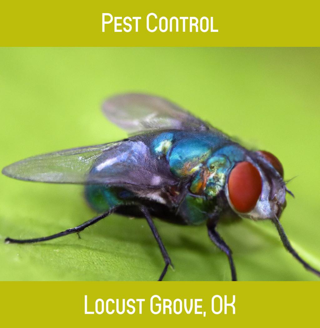 pest control in Locust Grove Oklahoma