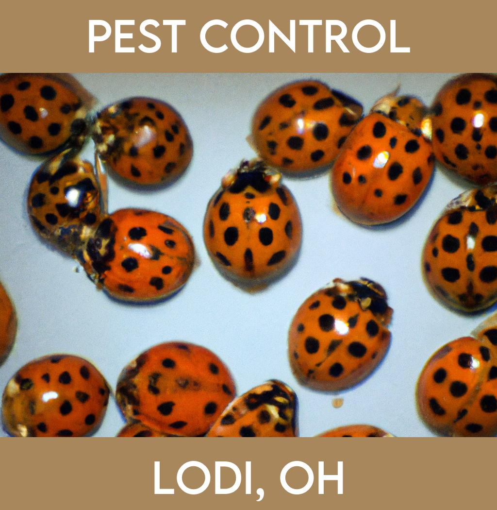pest control in Lodi Ohio