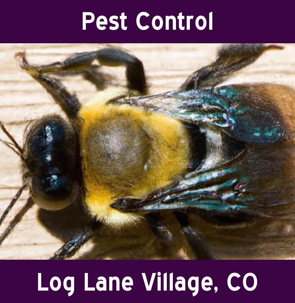 pest control in Log Lane Village Colorado