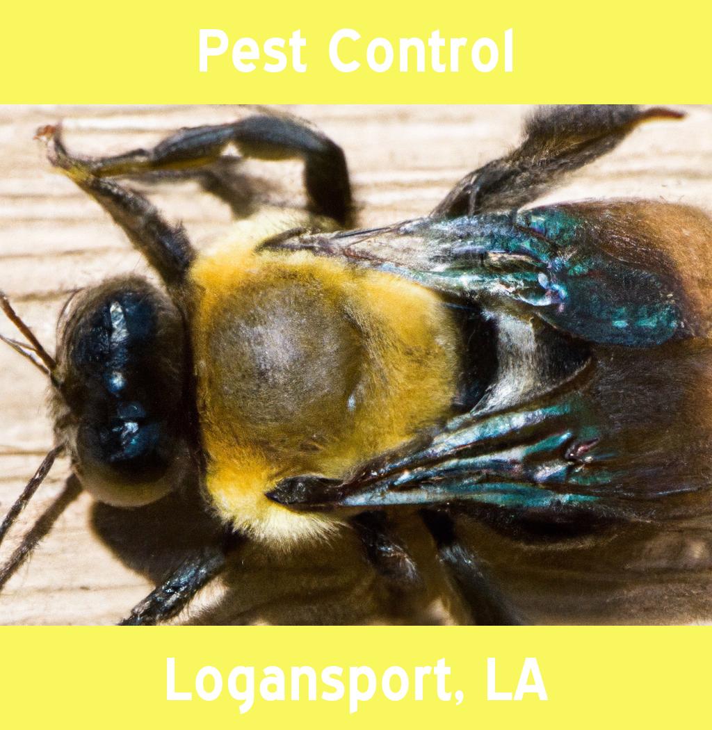 pest control in Logansport Louisiana