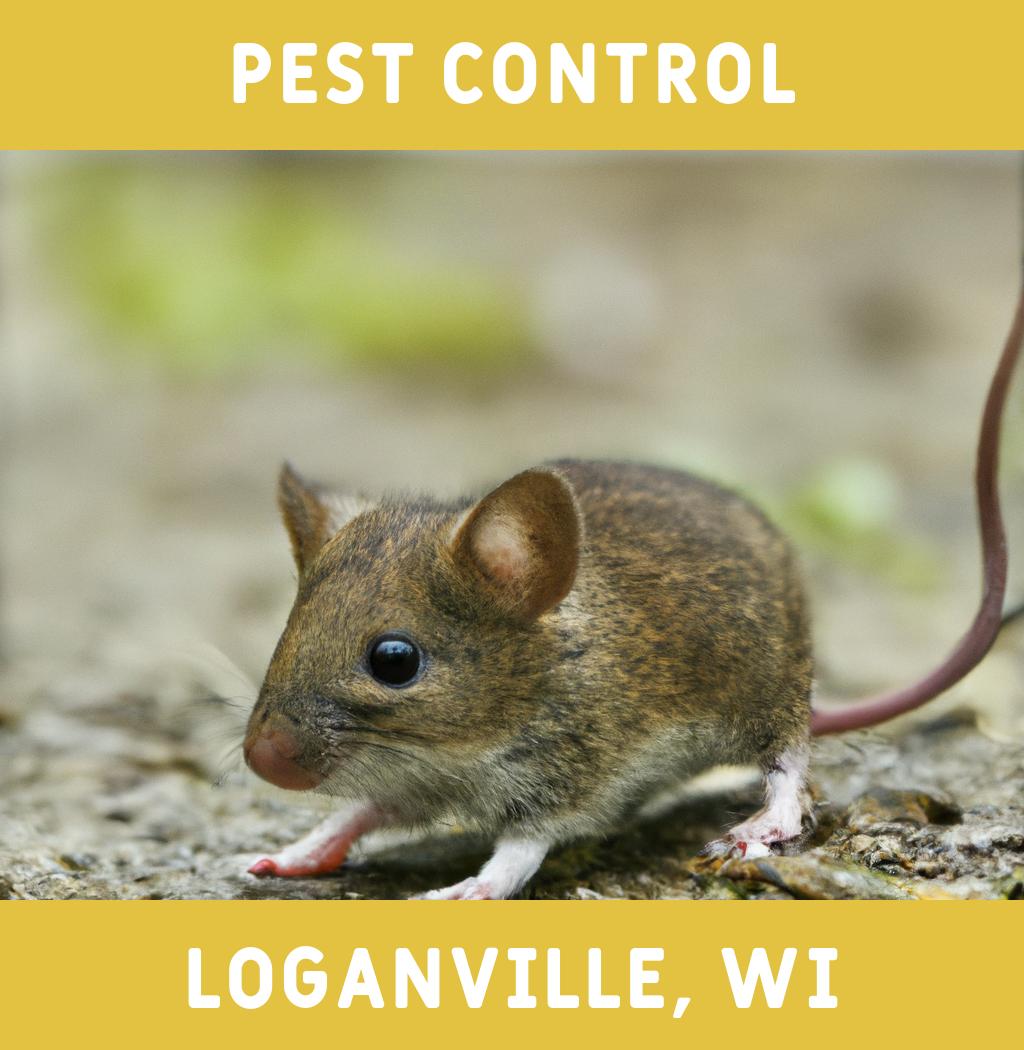 pest control in Loganville Wisconsin