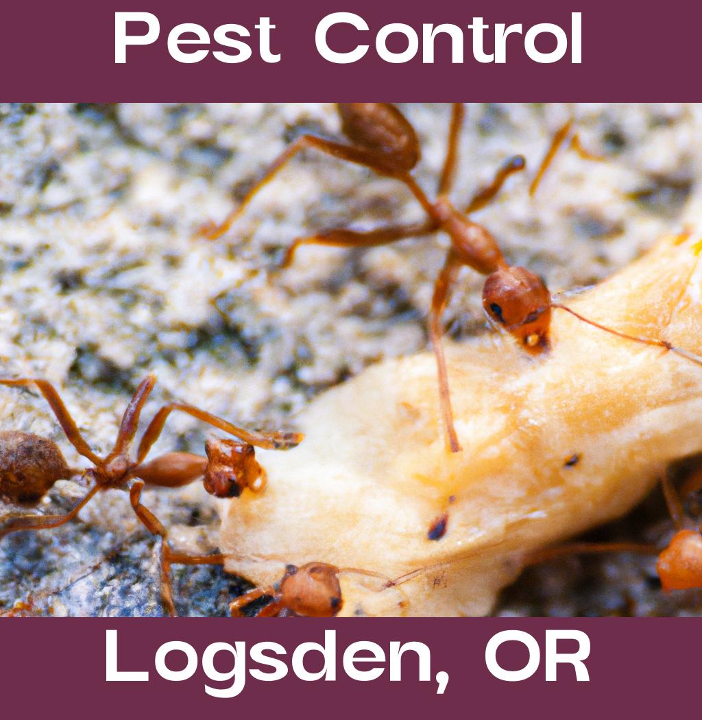 pest control in Logsden Oregon