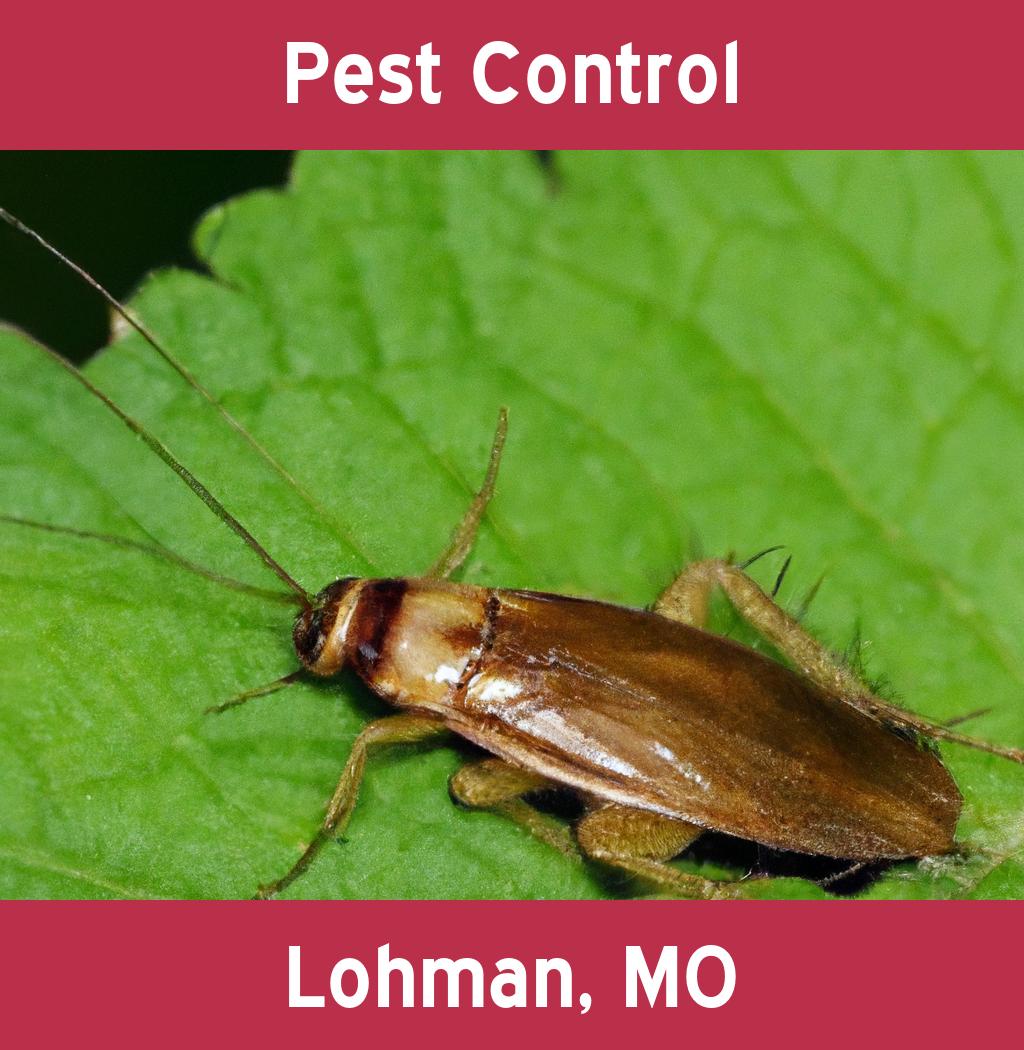 pest control in Lohman Missouri