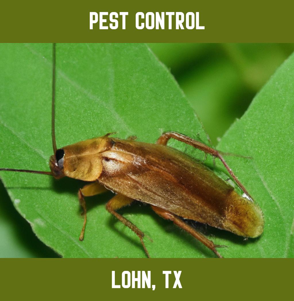 pest control in Lohn Texas