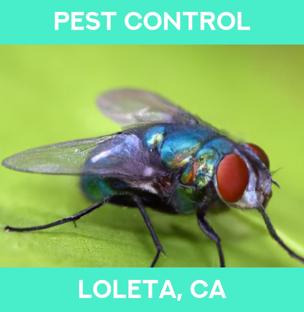 pest control in Loleta California