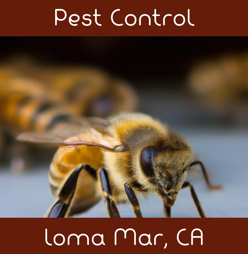 pest control in Loma Mar California