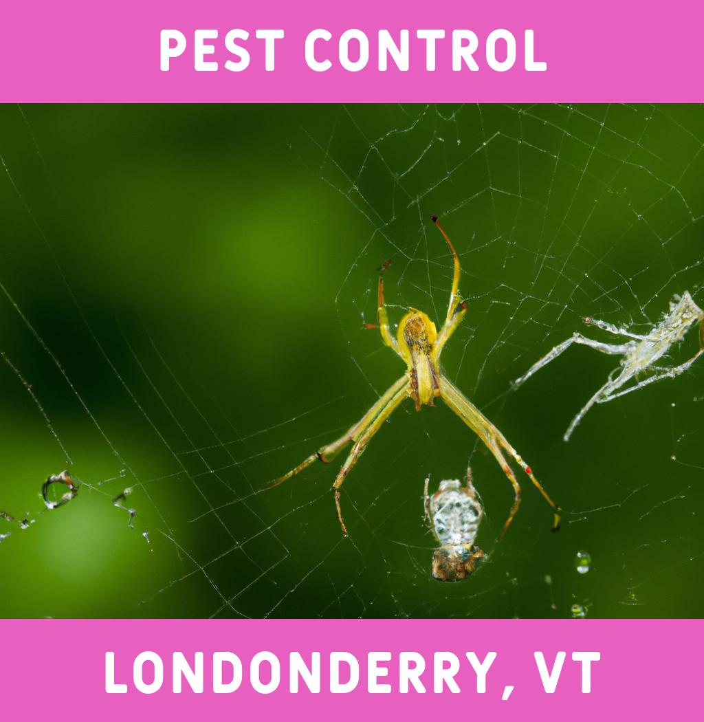 pest control in Londonderry Vermont
