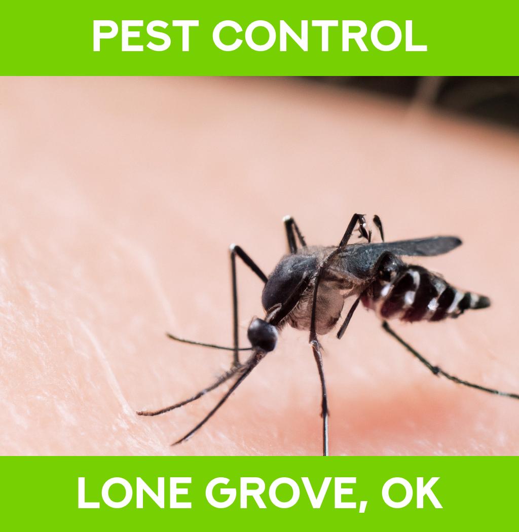 pest control in Lone Grove Oklahoma