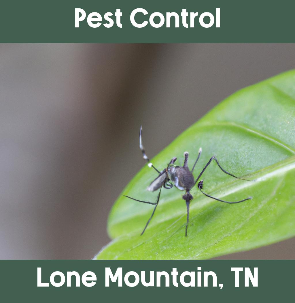 pest control in Lone Mountain Tennessee