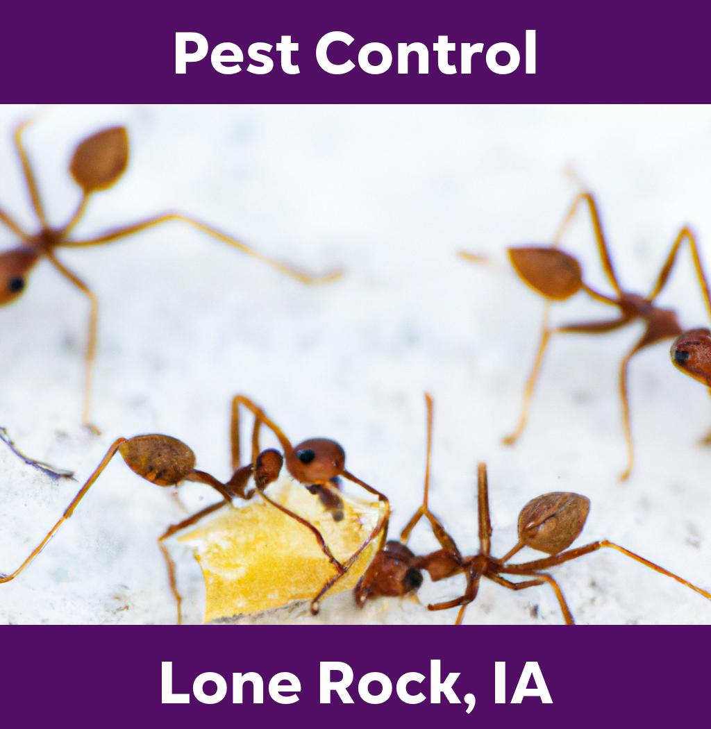 pest control in Lone Rock Iowa