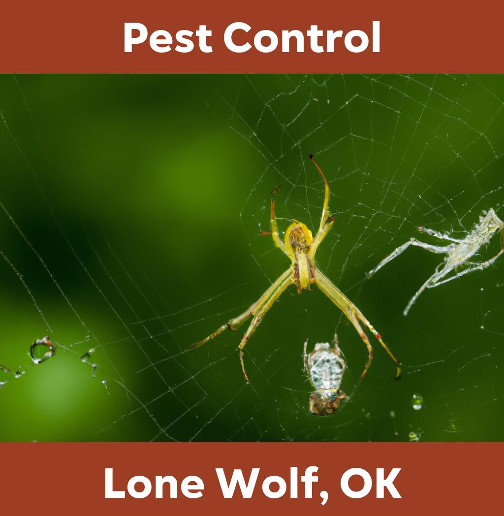 pest control in Lone Wolf Oklahoma