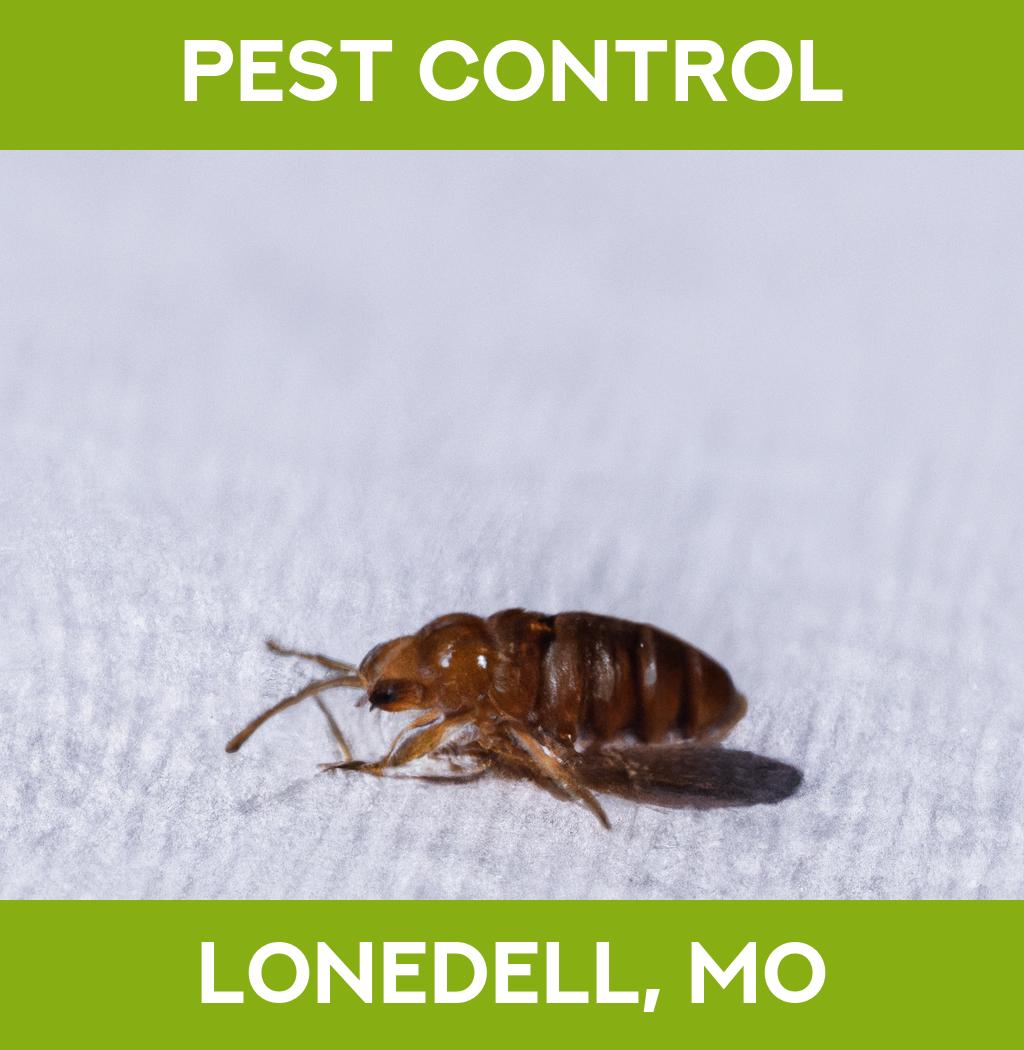 pest control in Lonedell Missouri