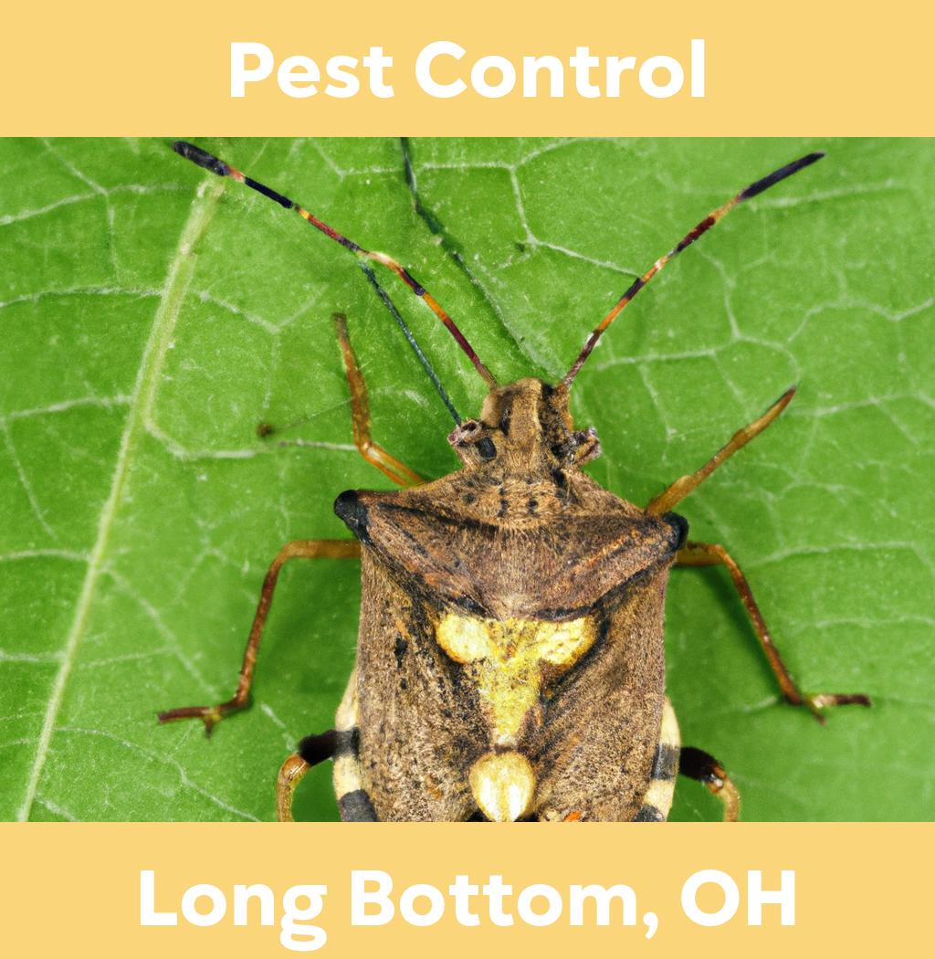 pest control in Long Bottom Ohio