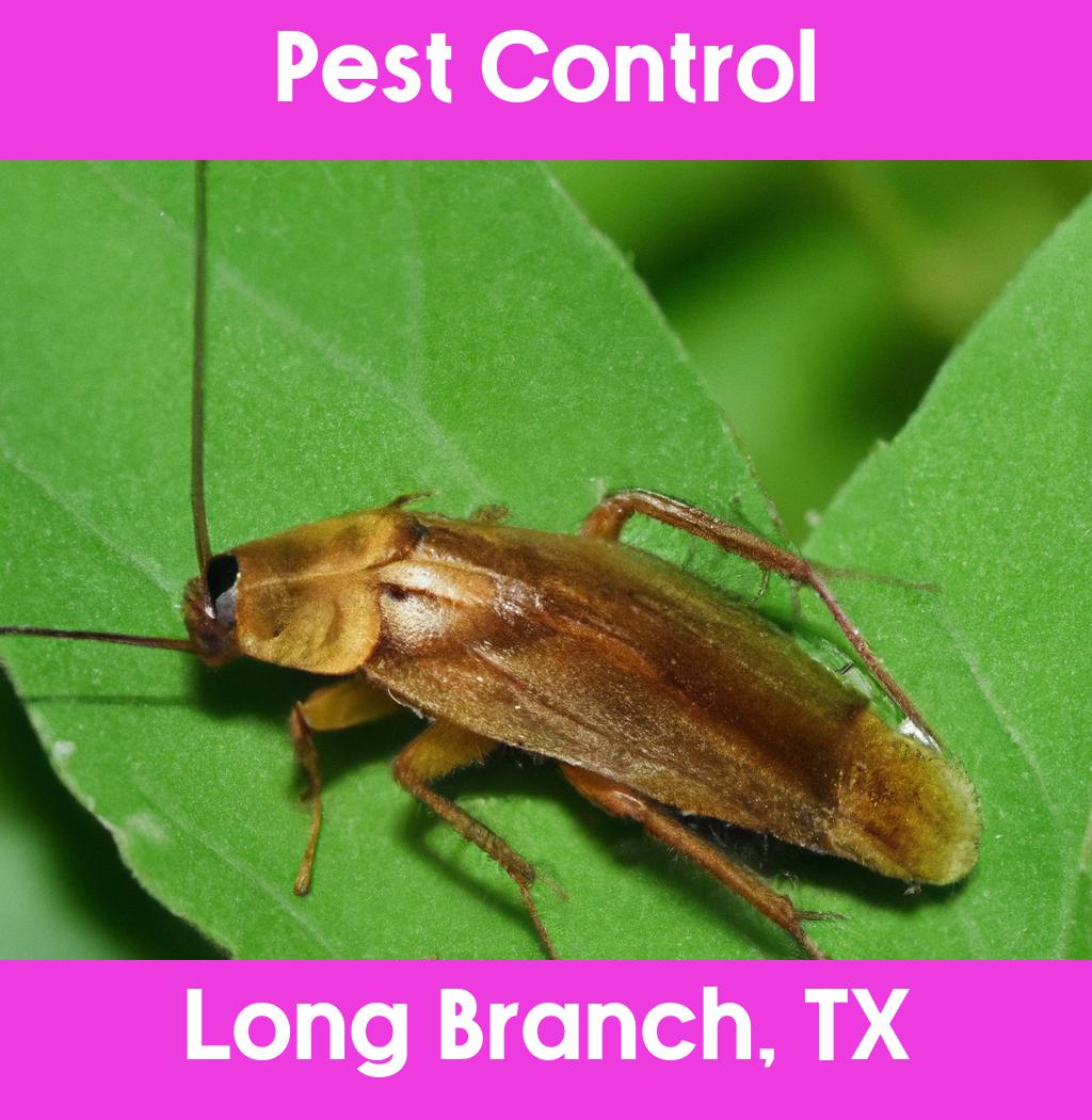 pest control in Long Branch Texas