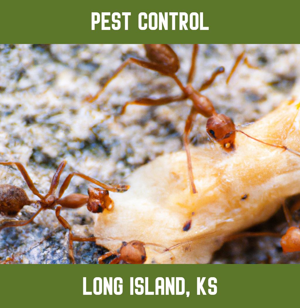 pest control in Long Island Kansas