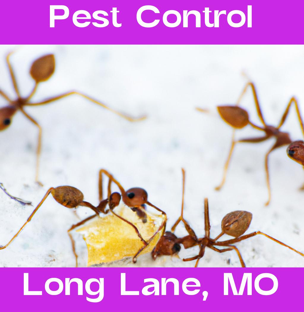 pest control in Long Lane Missouri