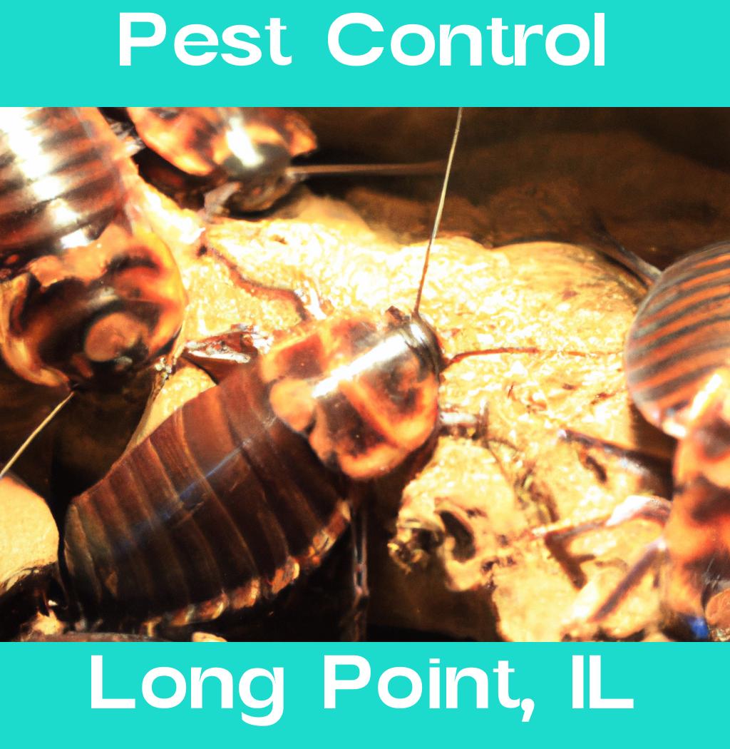 pest control in Long Point Illinois