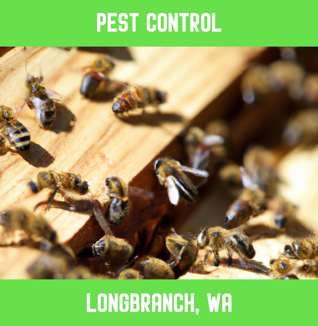 pest control in Longbranch Washington