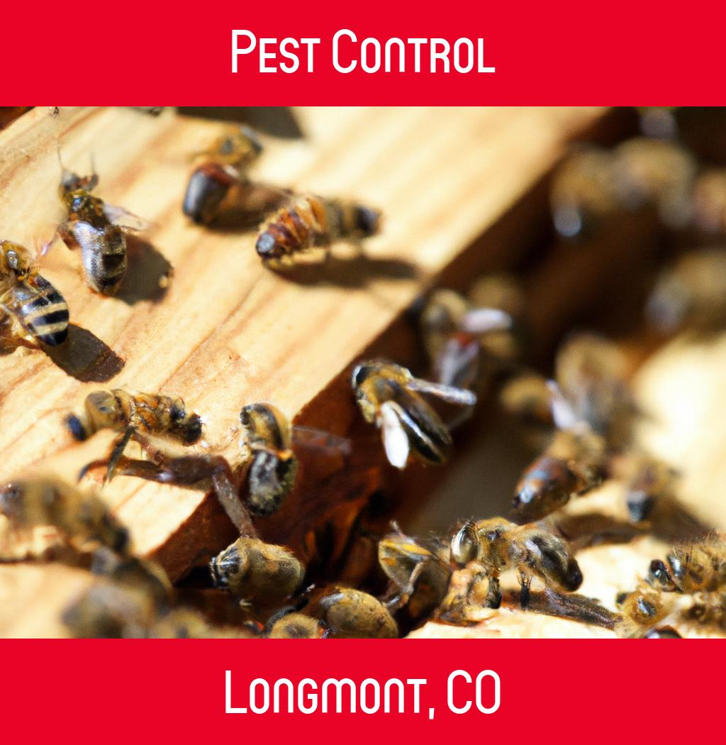 pest control in Longmont Colorado