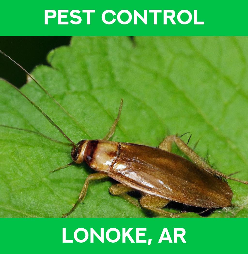 pest control in Lonoke Arkansas