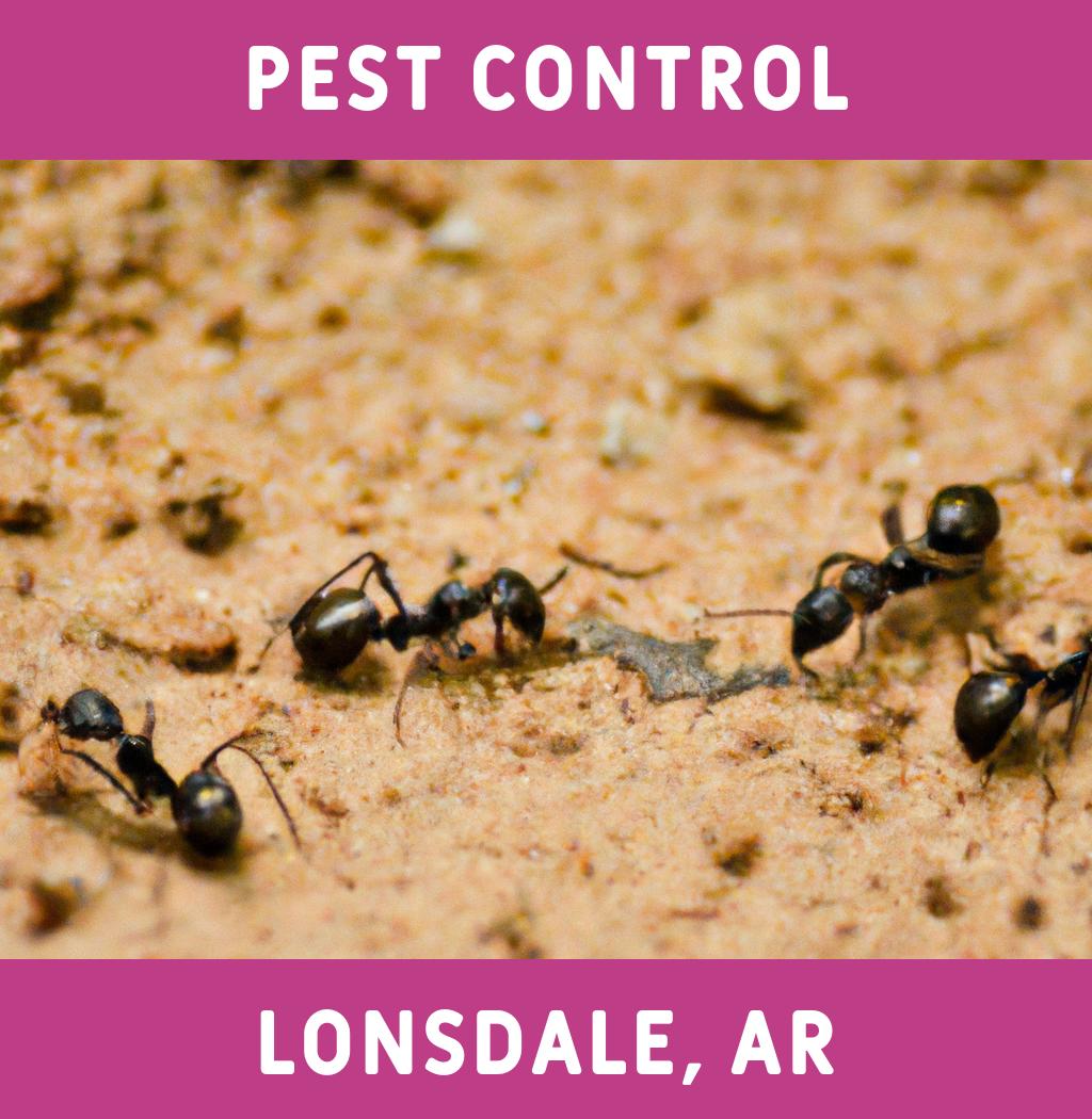 pest control in Lonsdale Arkansas