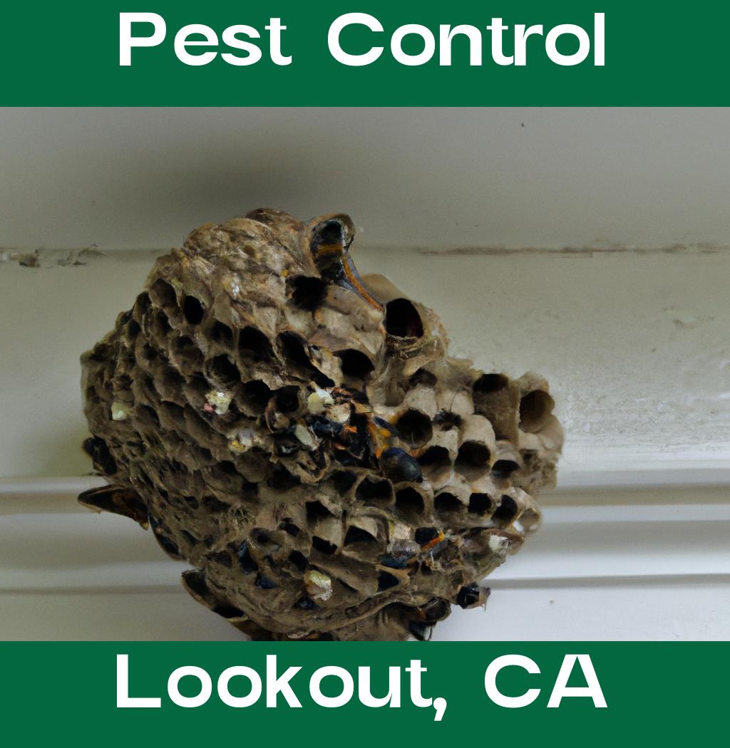 pest control in Lookout California