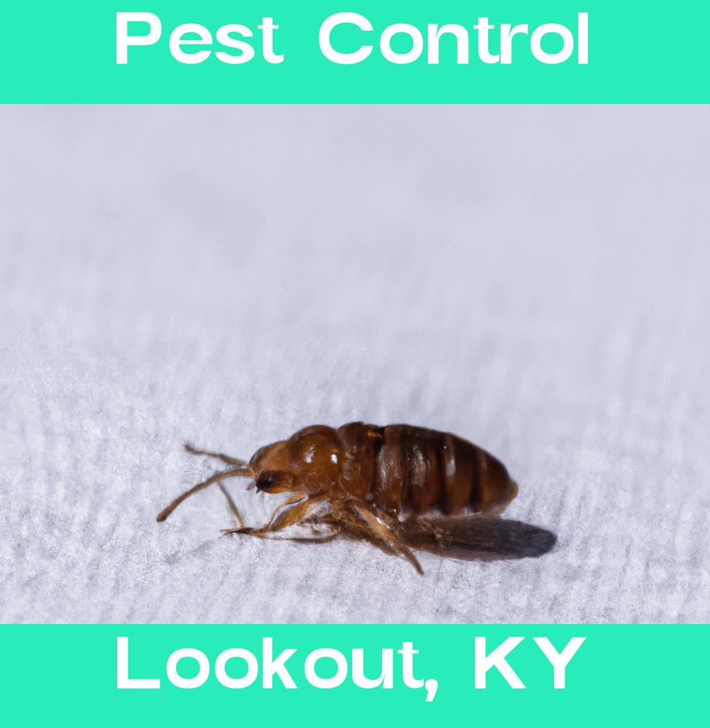 pest control in Lookout Kentucky