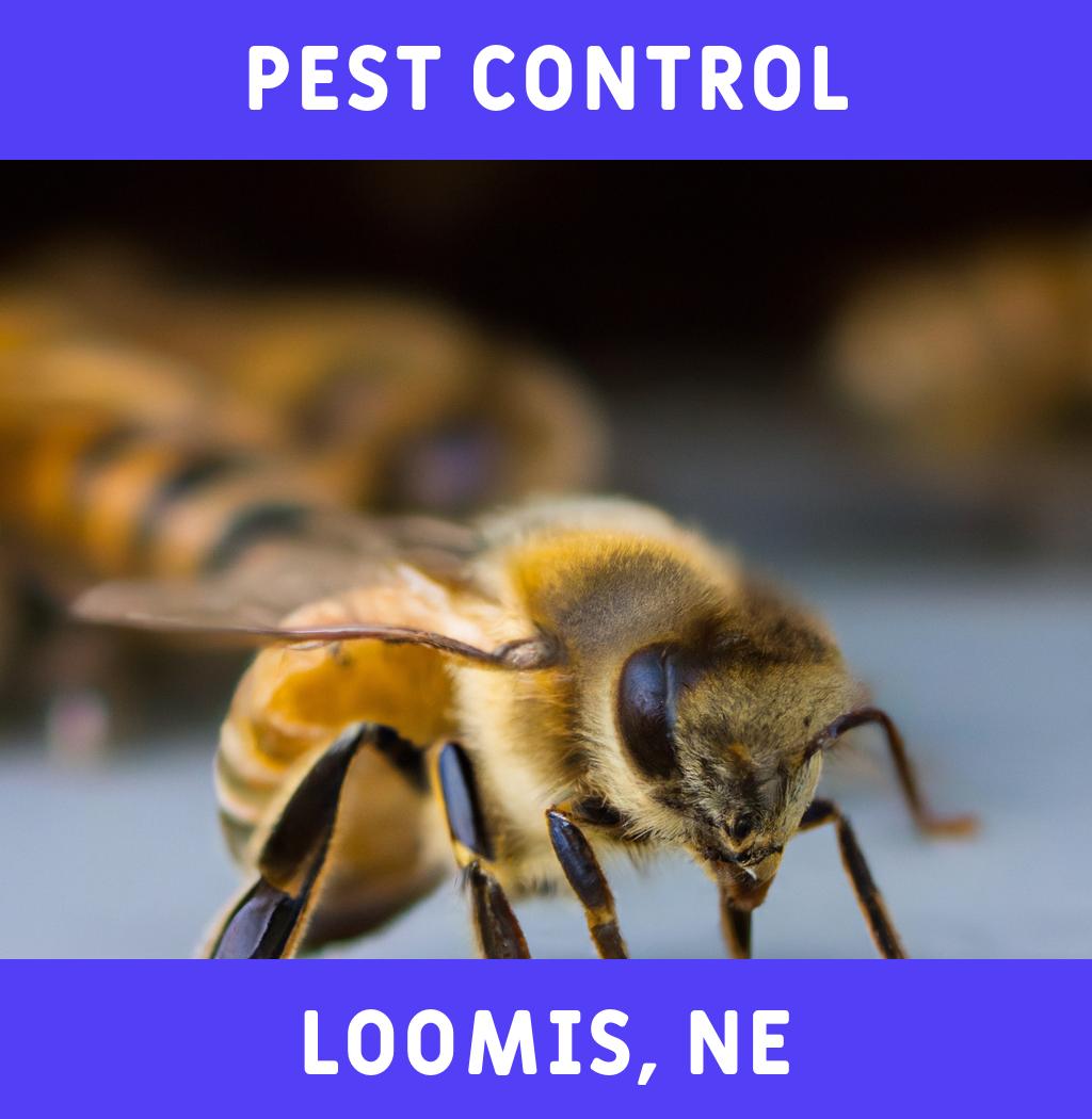 pest control in Loomis Nebraska