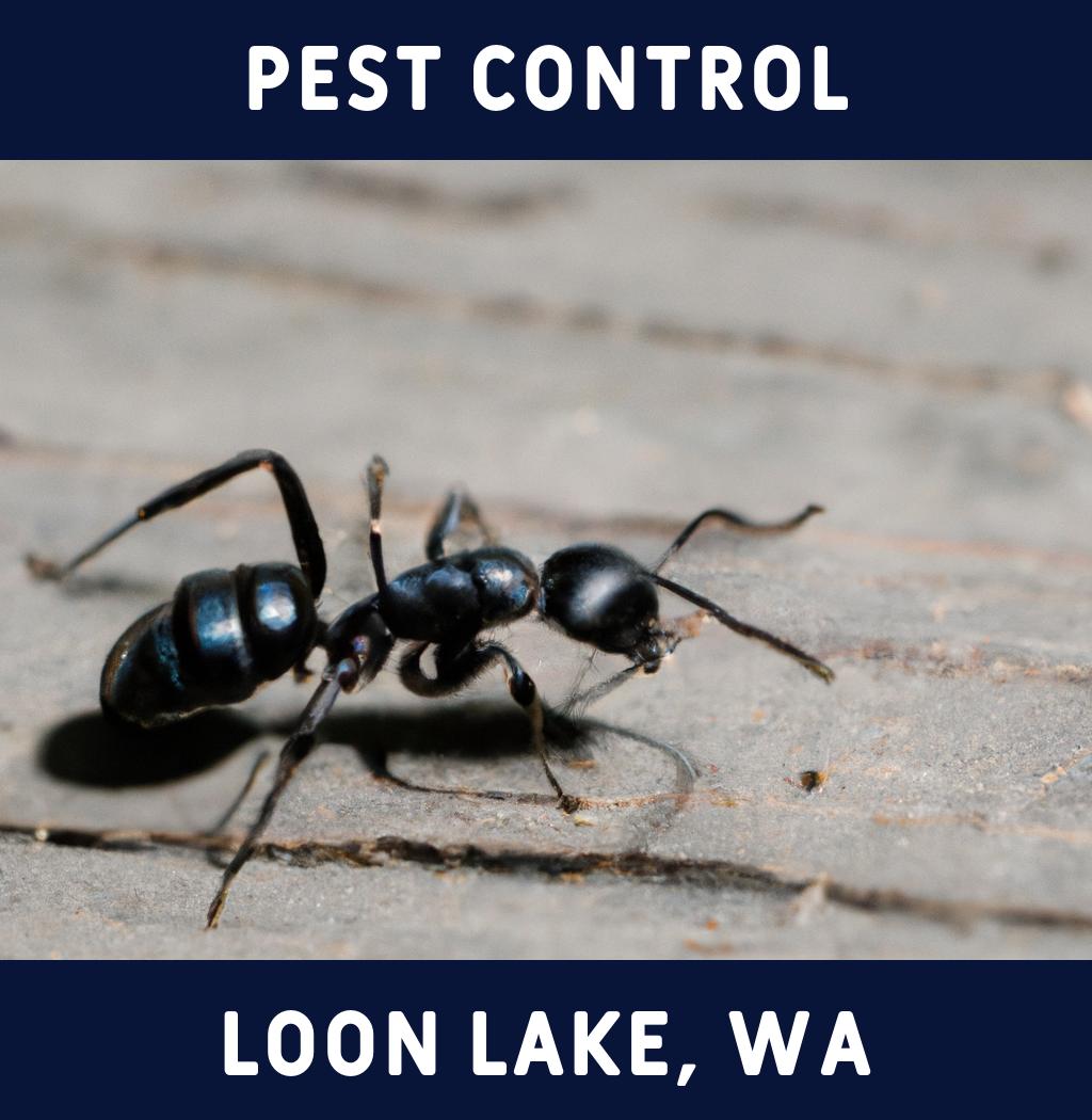 pest control in Loon Lake Washington