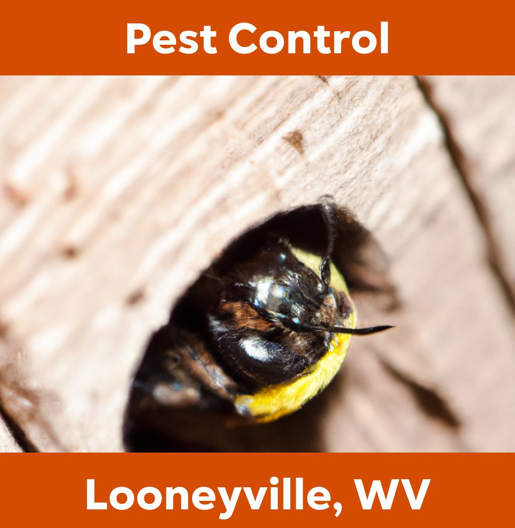 pest control in Looneyville West Virginia