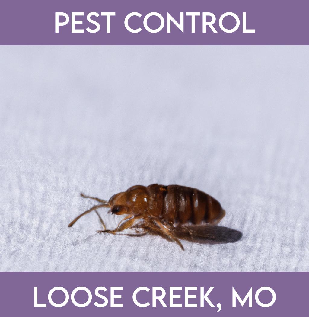 pest control in Loose Creek Missouri