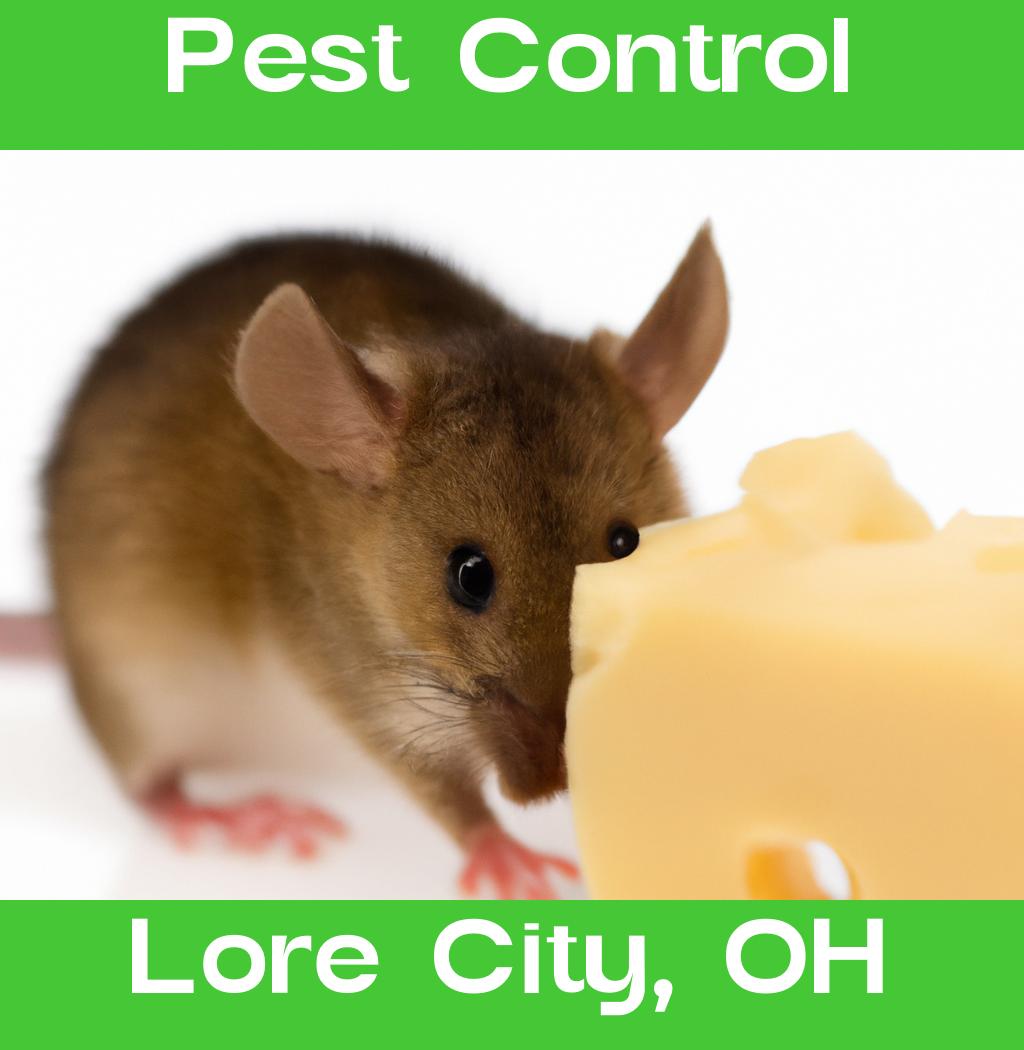 pest control in Lore City Ohio