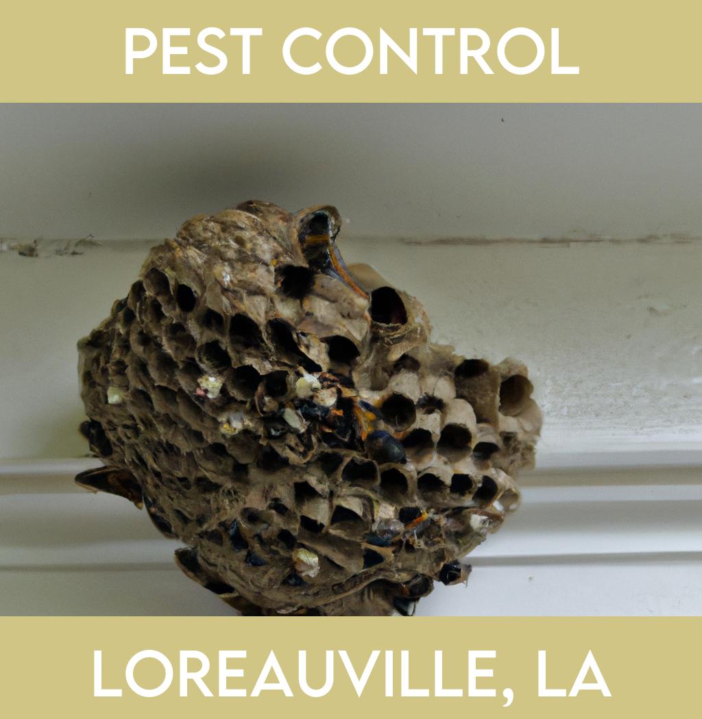 pest control in Loreauville Louisiana