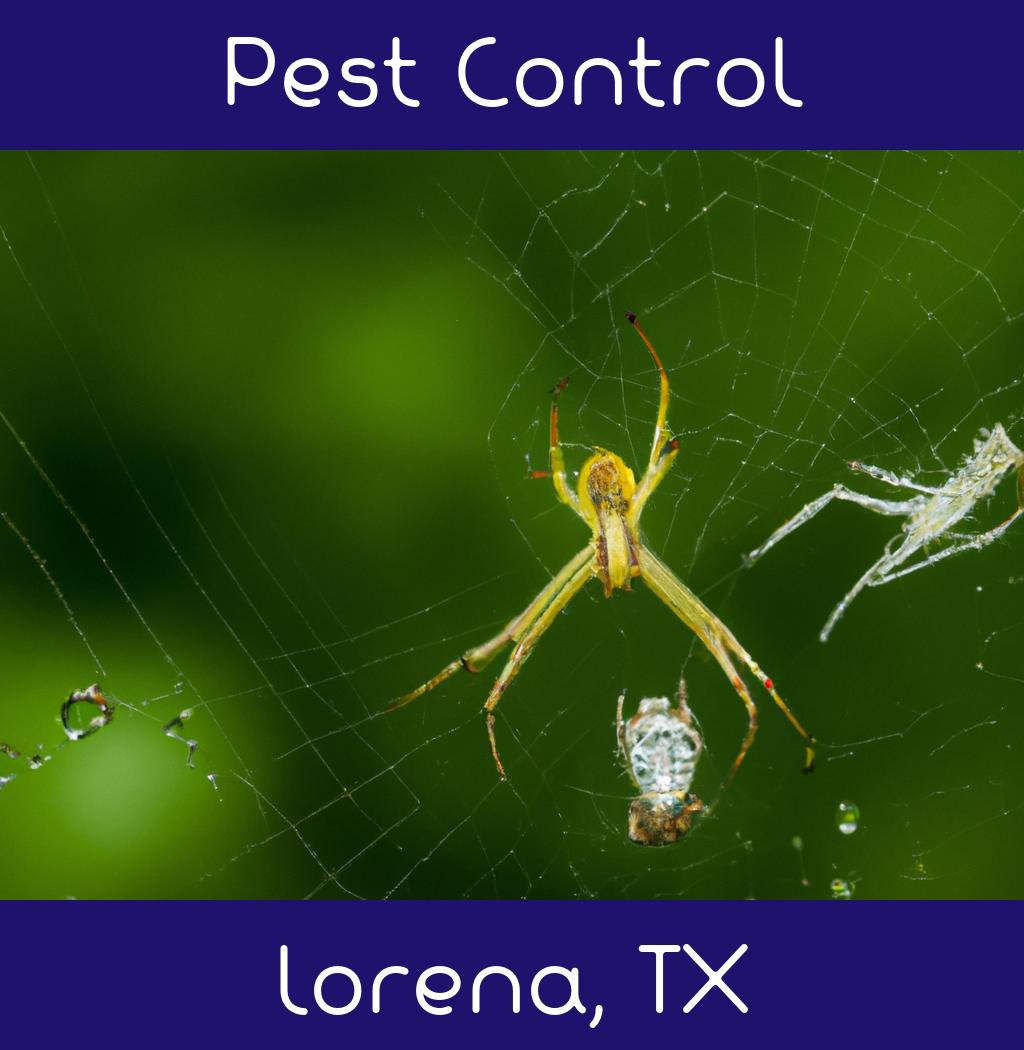 pest control in Lorena Texas