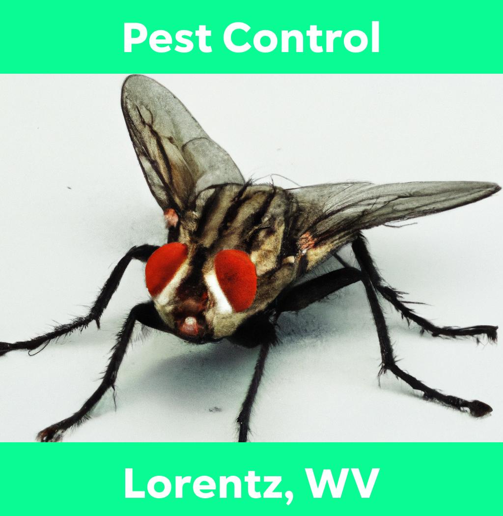 pest control in Lorentz West Virginia