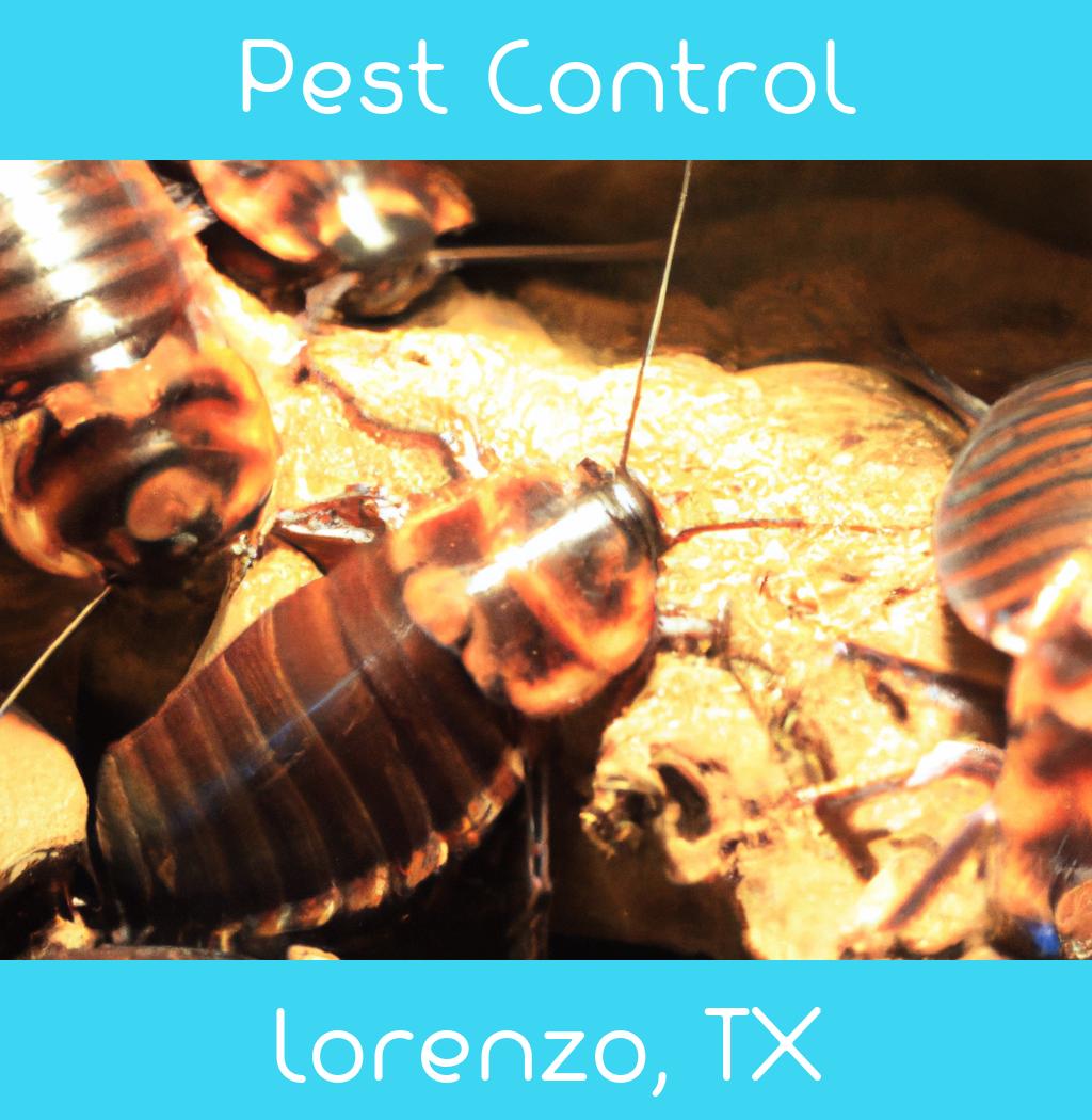 pest control in Lorenzo Texas