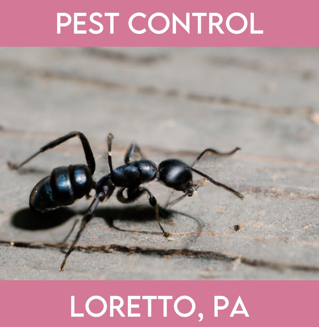 pest control in Loretto Pennsylvania