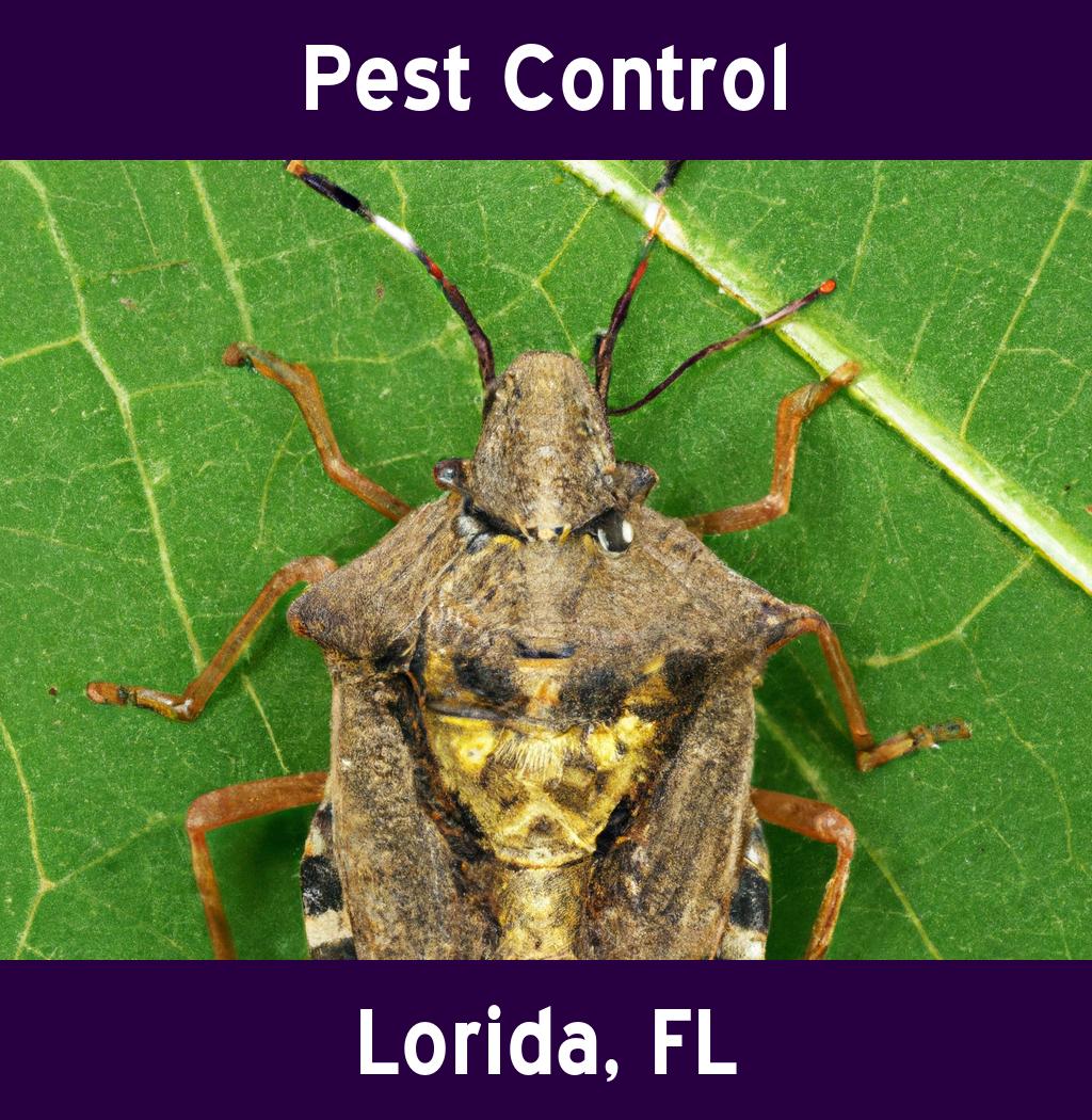pest control in Lorida Florida