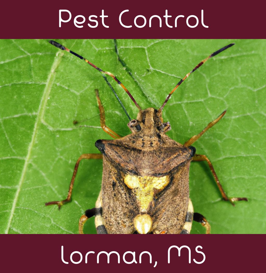 pest control in Lorman Mississippi