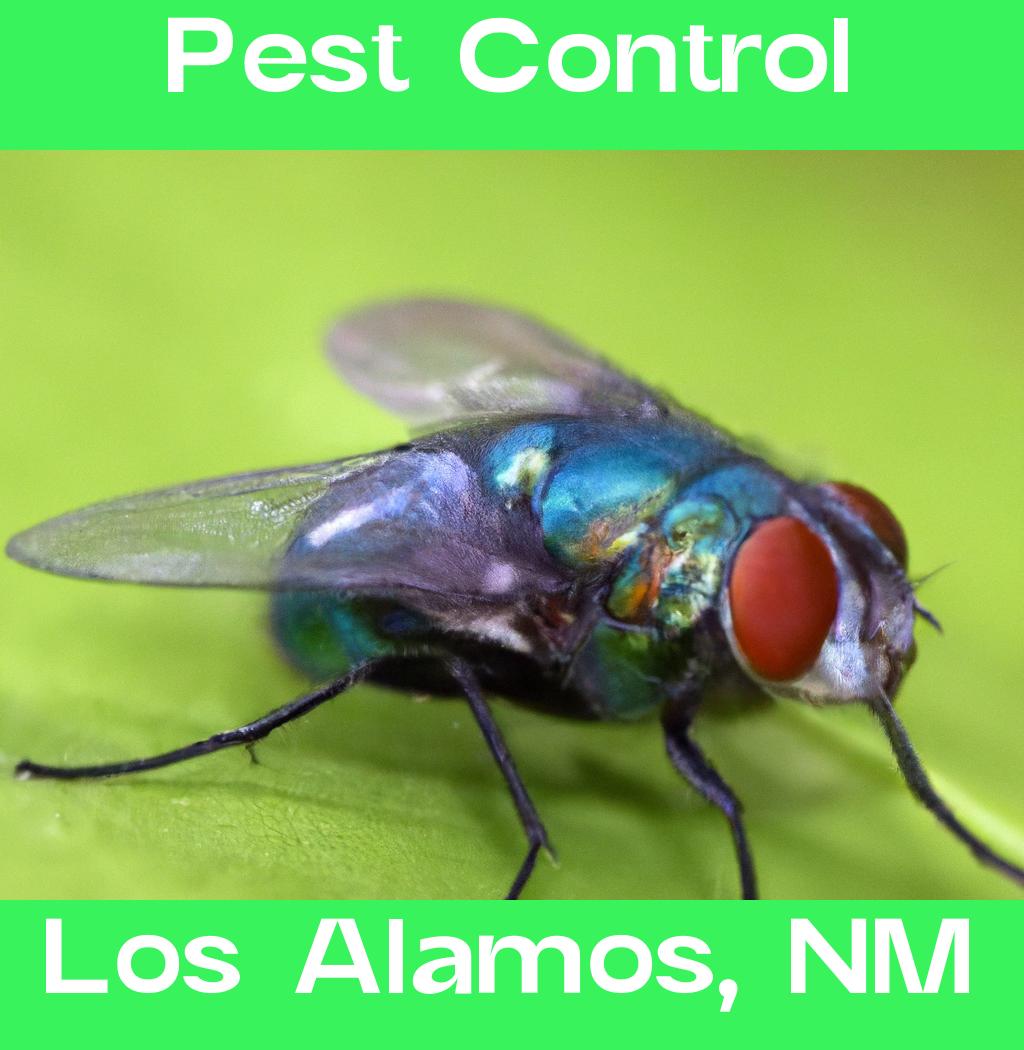 pest control in Los Alamos New Mexico