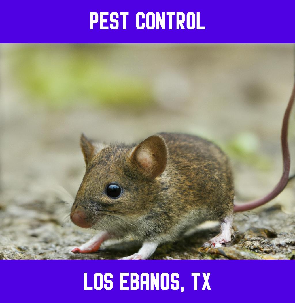 pest control in Los Ebanos Texas