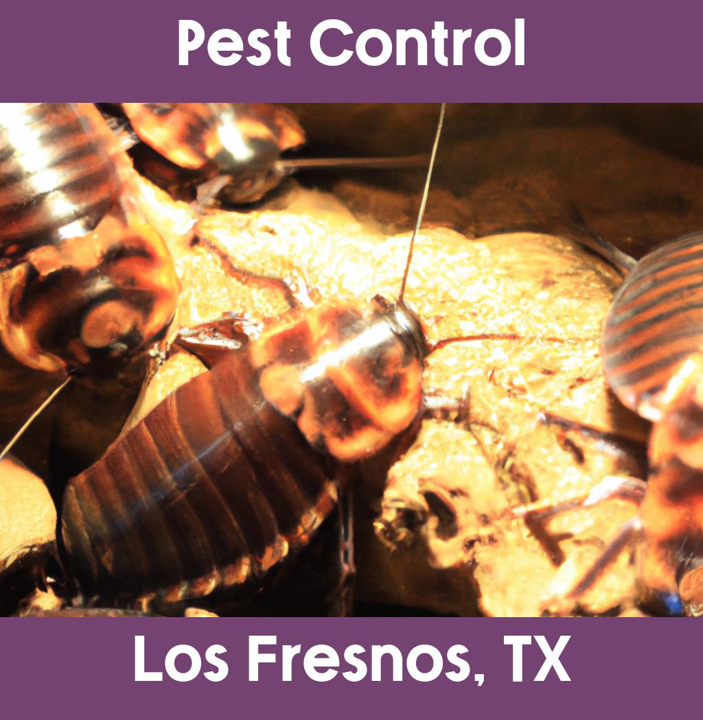 pest control in Los Fresnos Texas