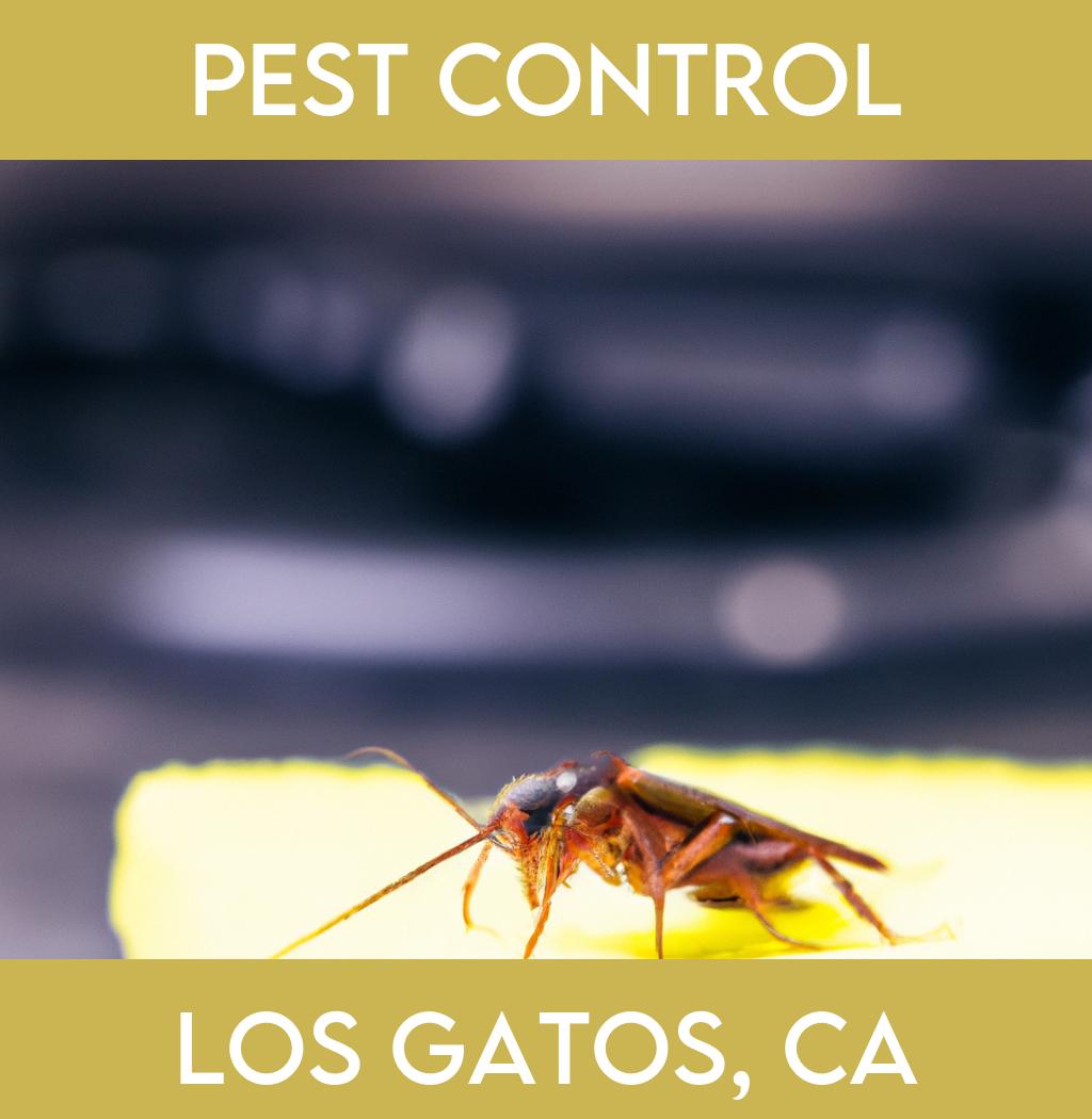 pest control in Los Gatos California