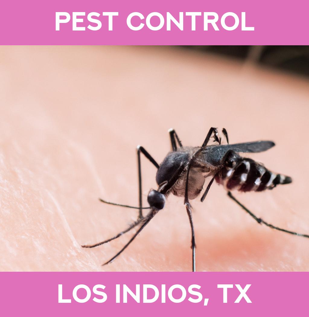 pest control in Los Indios Texas