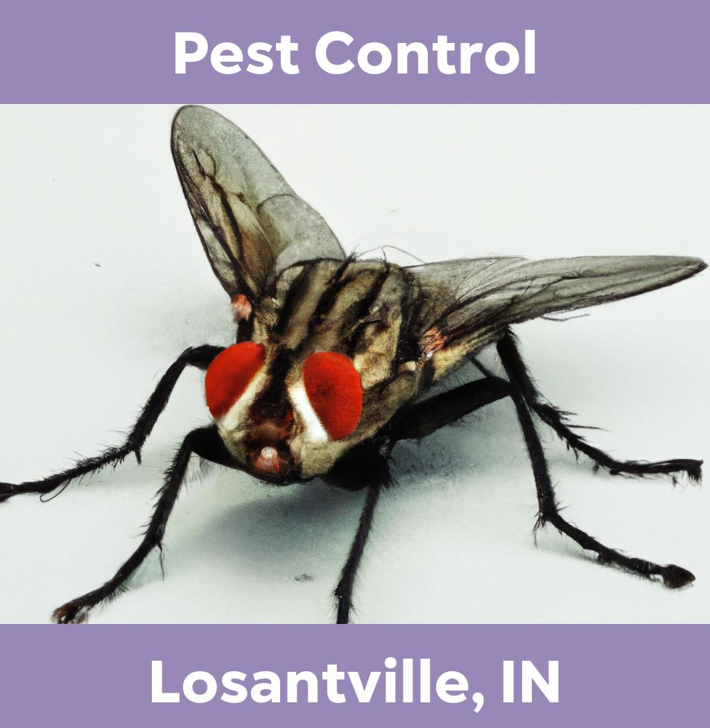 pest control in Losantville Indiana