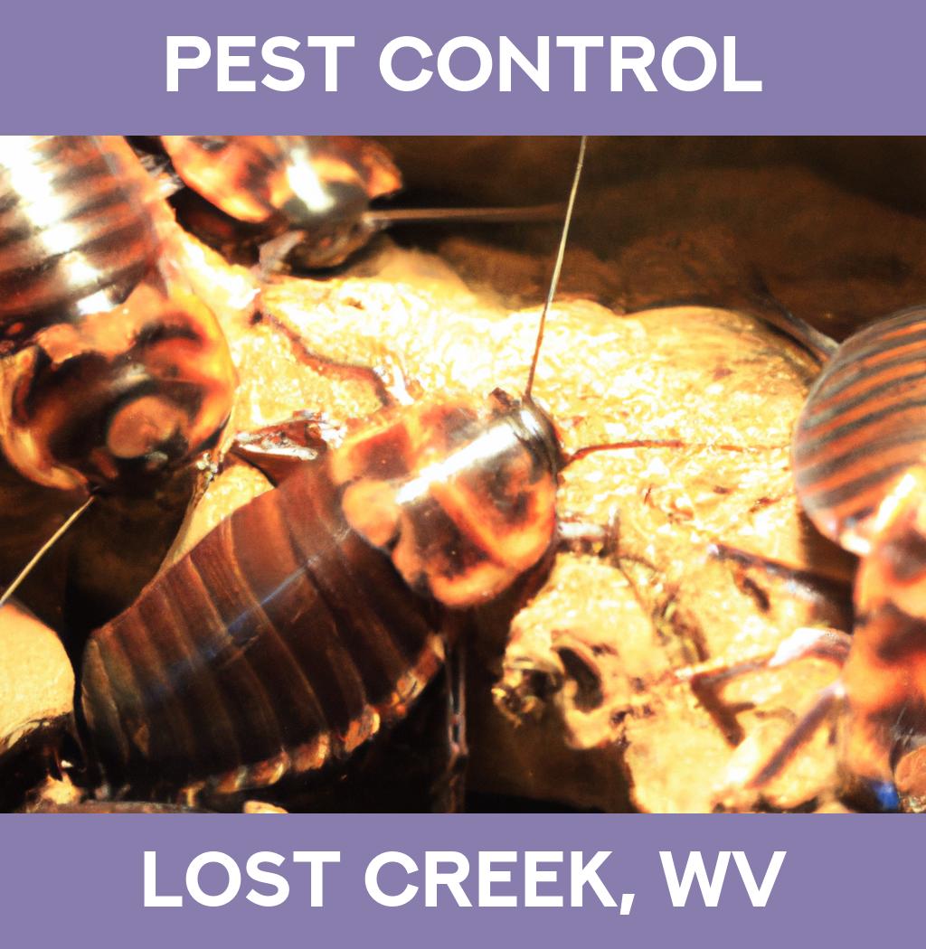 pest control in Lost Creek West Virginia