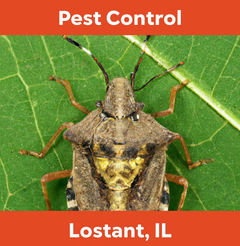 pest control in Lostant Illinois