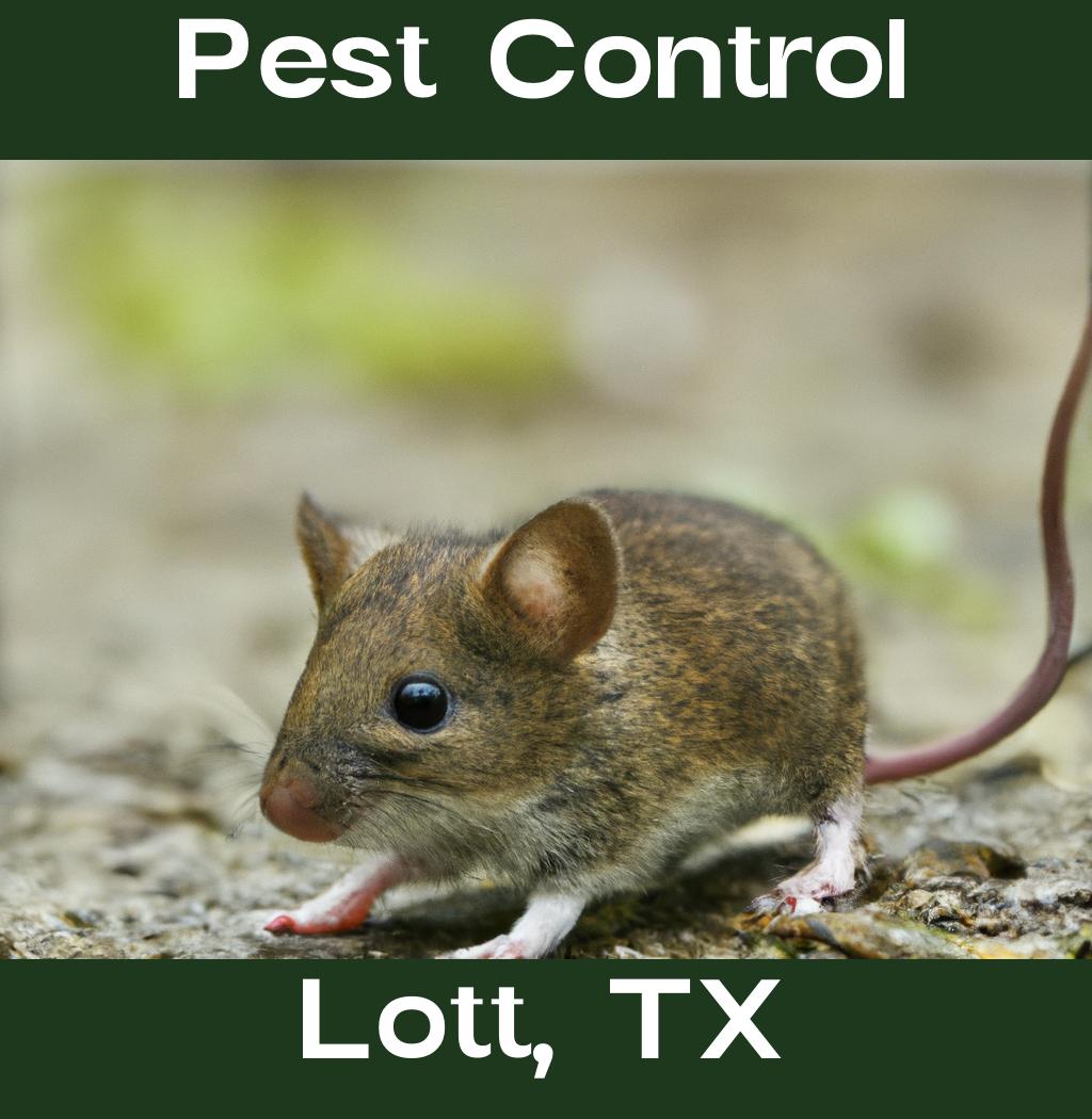 pest control in Lott Texas