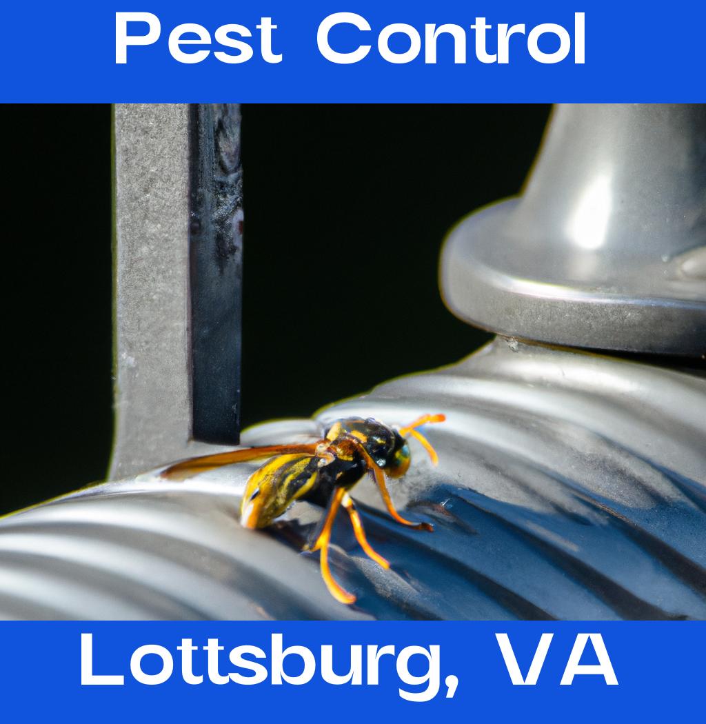 pest control in Lottsburg Virginia
